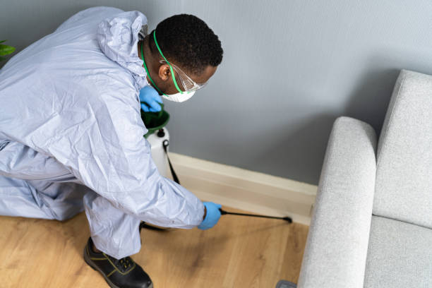 Best Real Estate Pest Inspections  in Carlisle, PA